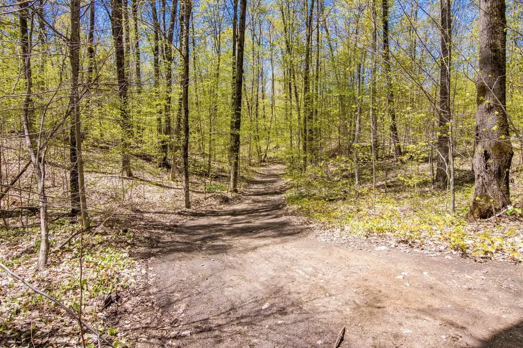 Vl (10 Acres) W Elder Custer Township MI 49659