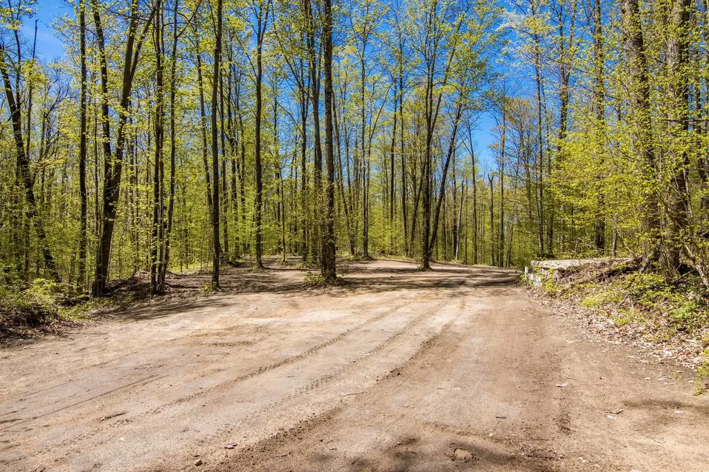 Vl (10 Acres) W Elder Custer Township MI 49659