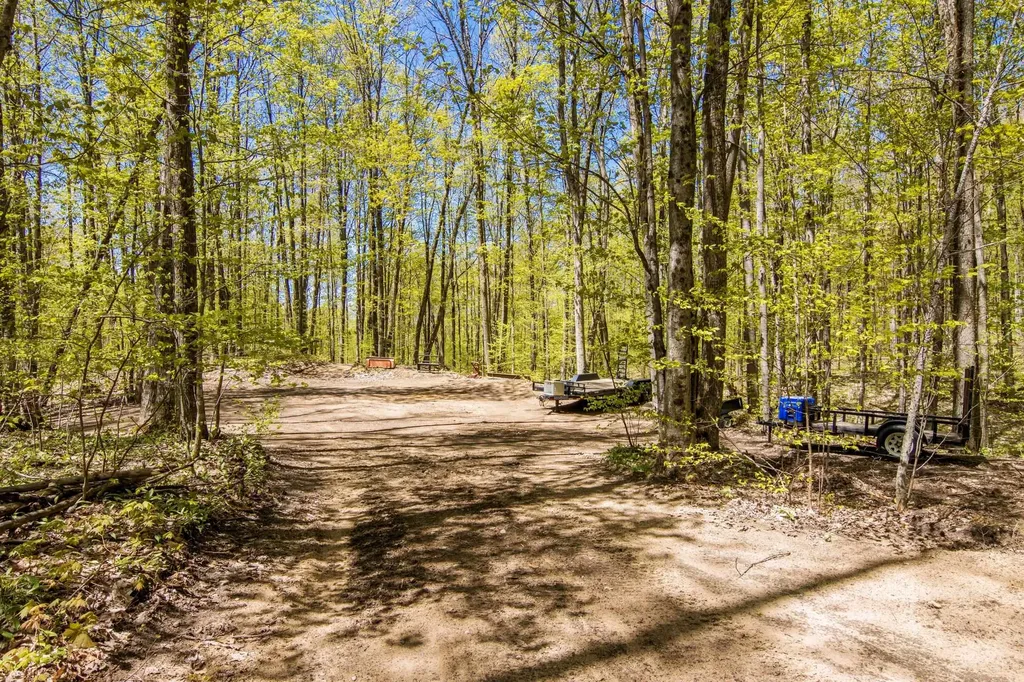 Vl (10 Acres) W Elder Custer Township MI 49659