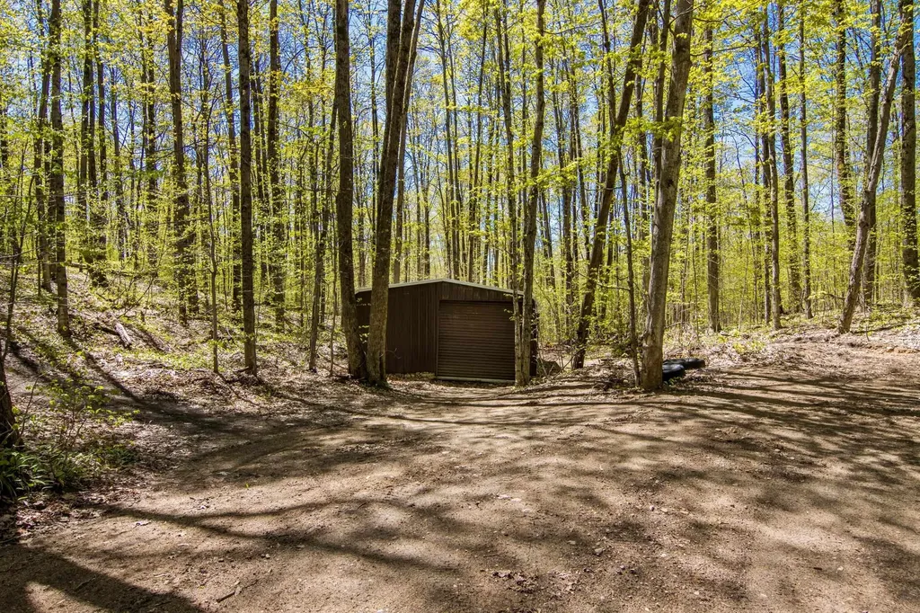 Vl (10 Acres) W Elder Custer Township MI 49659