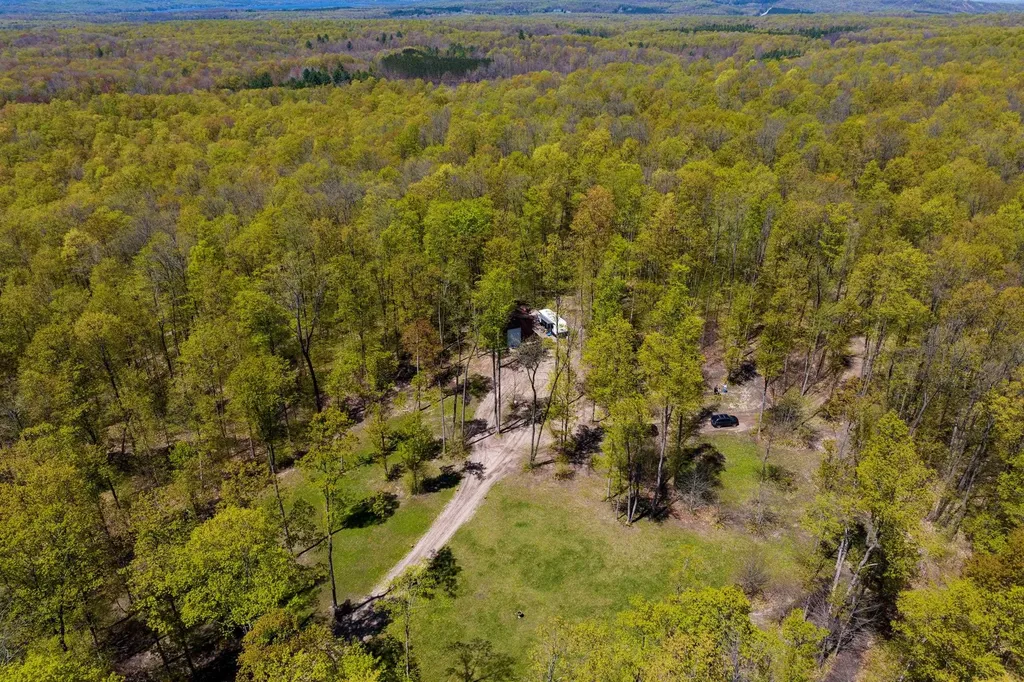 Vl (10 Acres) W Elder Custer Township MI 49659