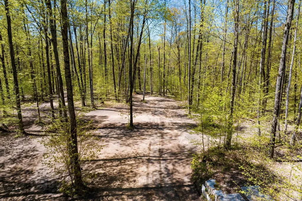 Vl (10 Acres) W Elder Custer Township MI 49659