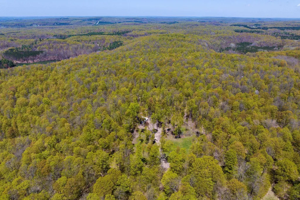 Vl (10 Acres) W Elder Custer Township MI 49659