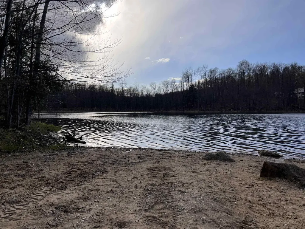Vl (10 Acres) W Elder Custer Township MI 49659