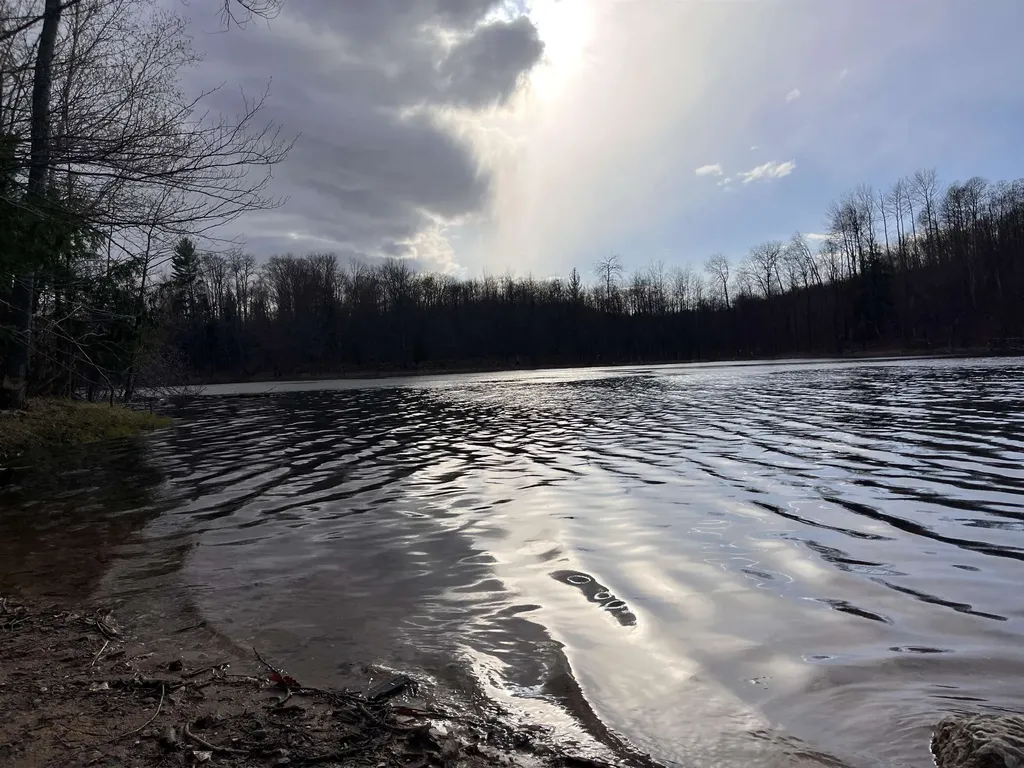 Vl (10 Acres) W Elder Custer Township MI 49659