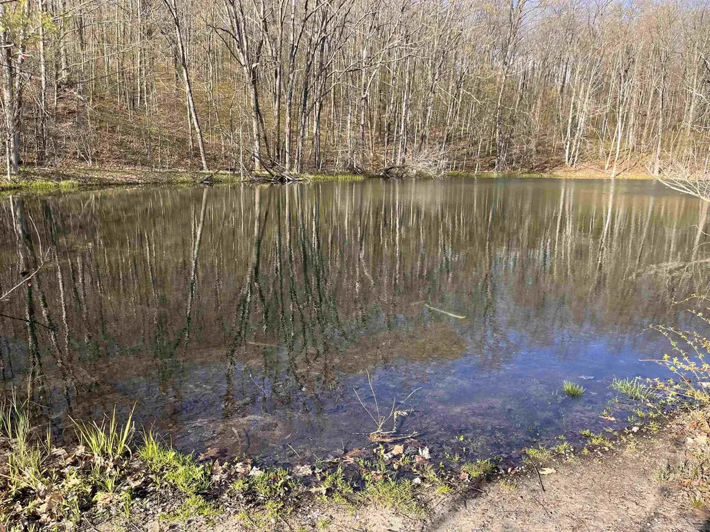 Vl (10 Acres) W Elder Custer Township MI 49659
