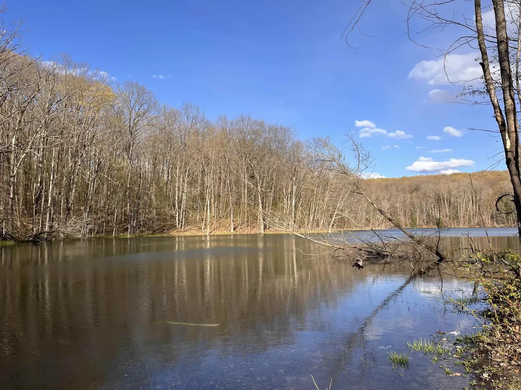 Vl (10 Acres) W Elder Custer Township MI 49659