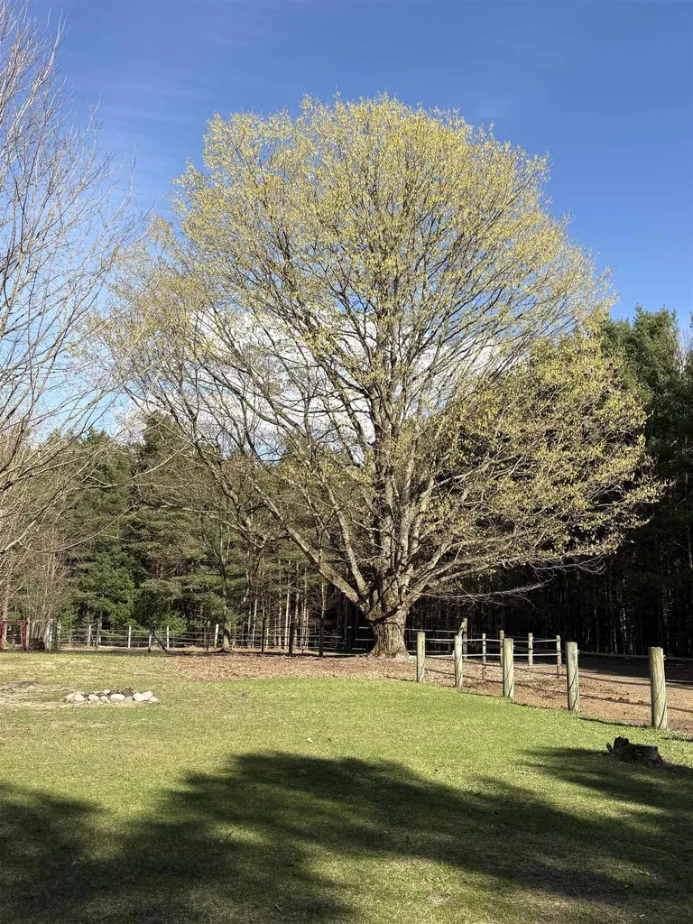 4911 Red Pine Trail Empire Township MI 49630