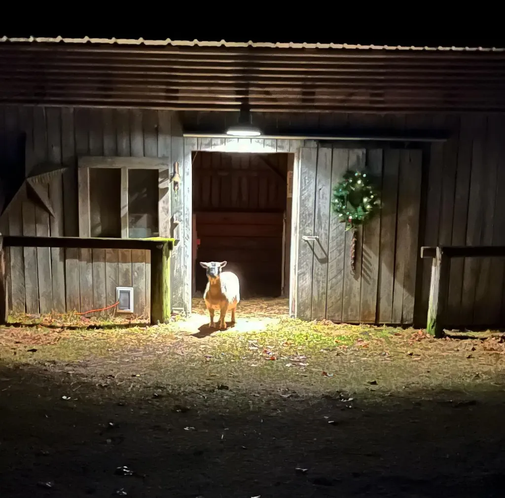 4911 Red Pine Trail Empire Township MI 49630