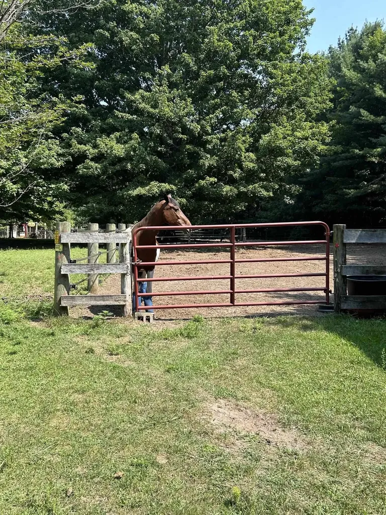 4911 Red Pine Trail Empire Township MI 49630