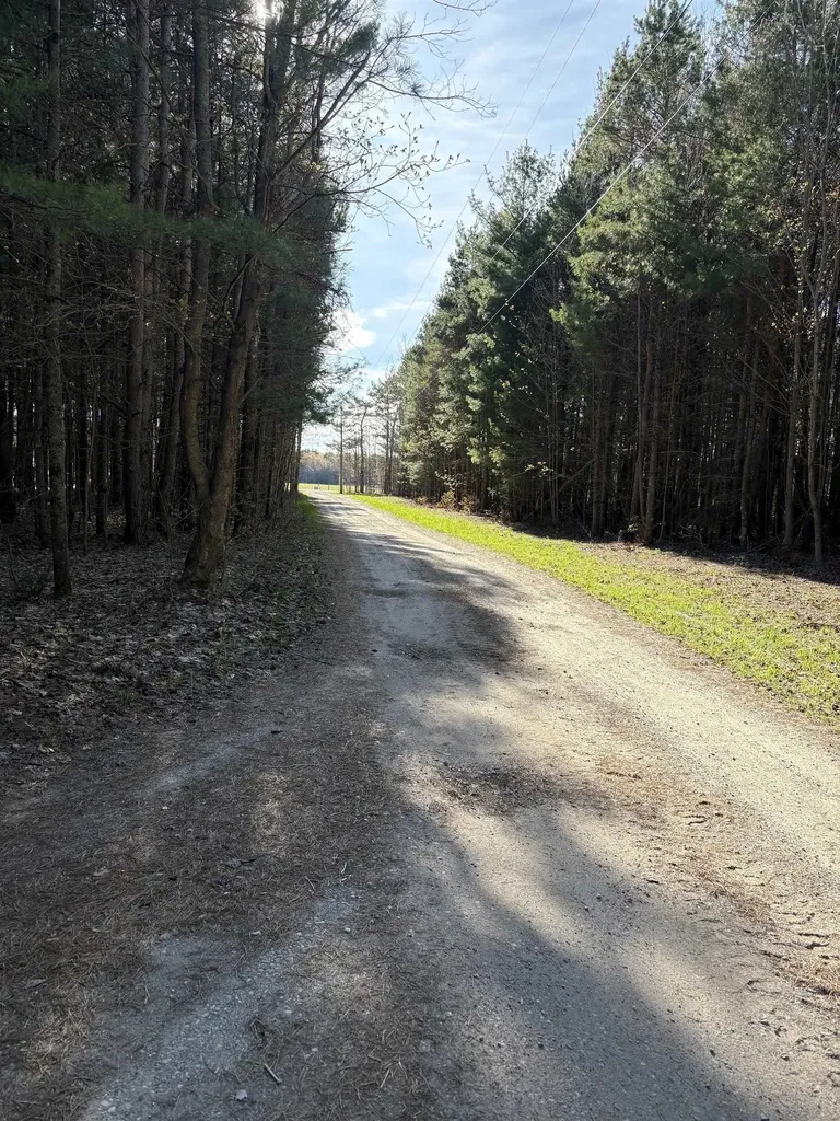 4911 Red Pine Trail Empire Township MI 49630