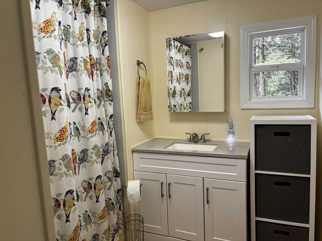 1158 East Lake Drive Orange Township MI 49646
