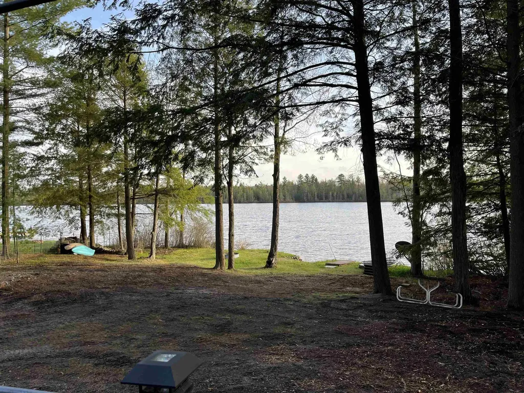 1158 East Lake Drive Orange Township MI 49646