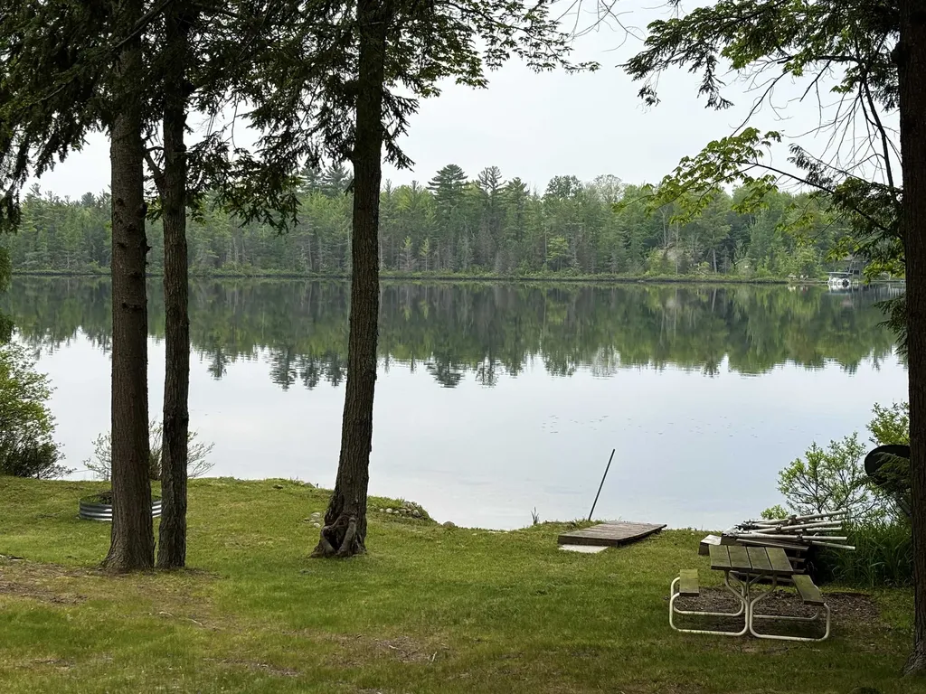 1158 East Lake Drive Orange Township MI 49646