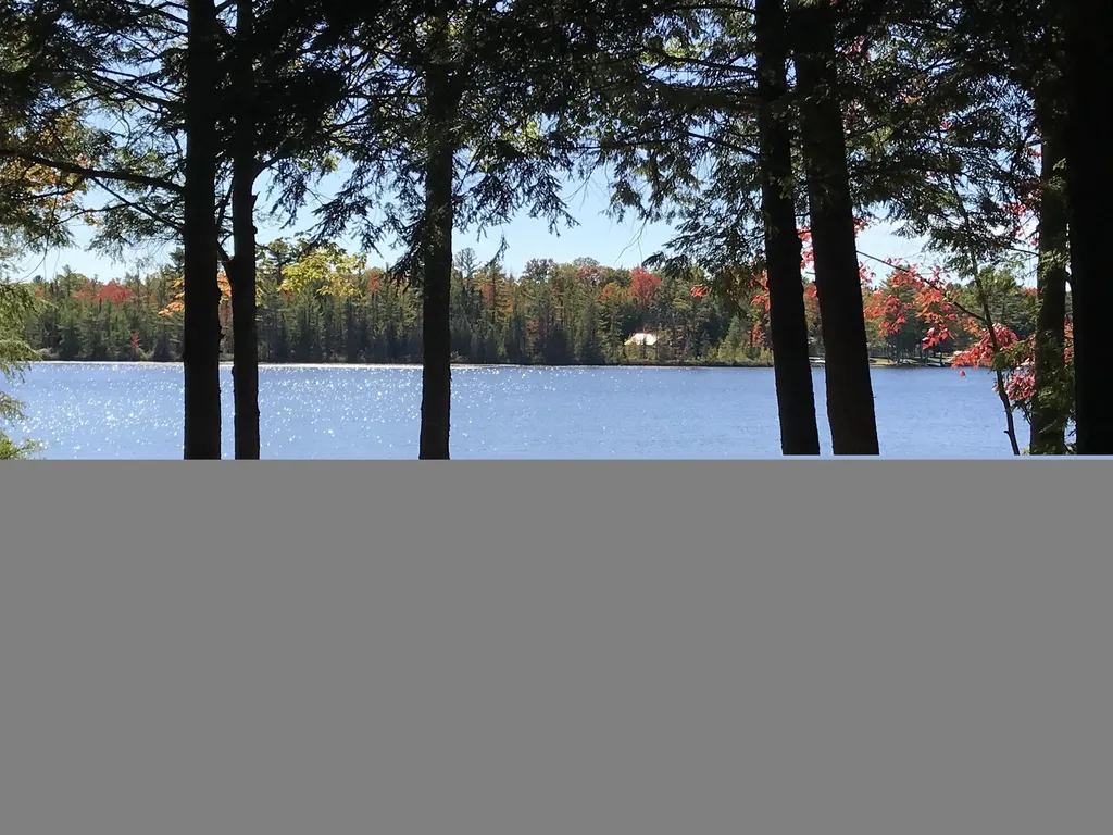 1158 East Lake Drive Orange Township MI 49646