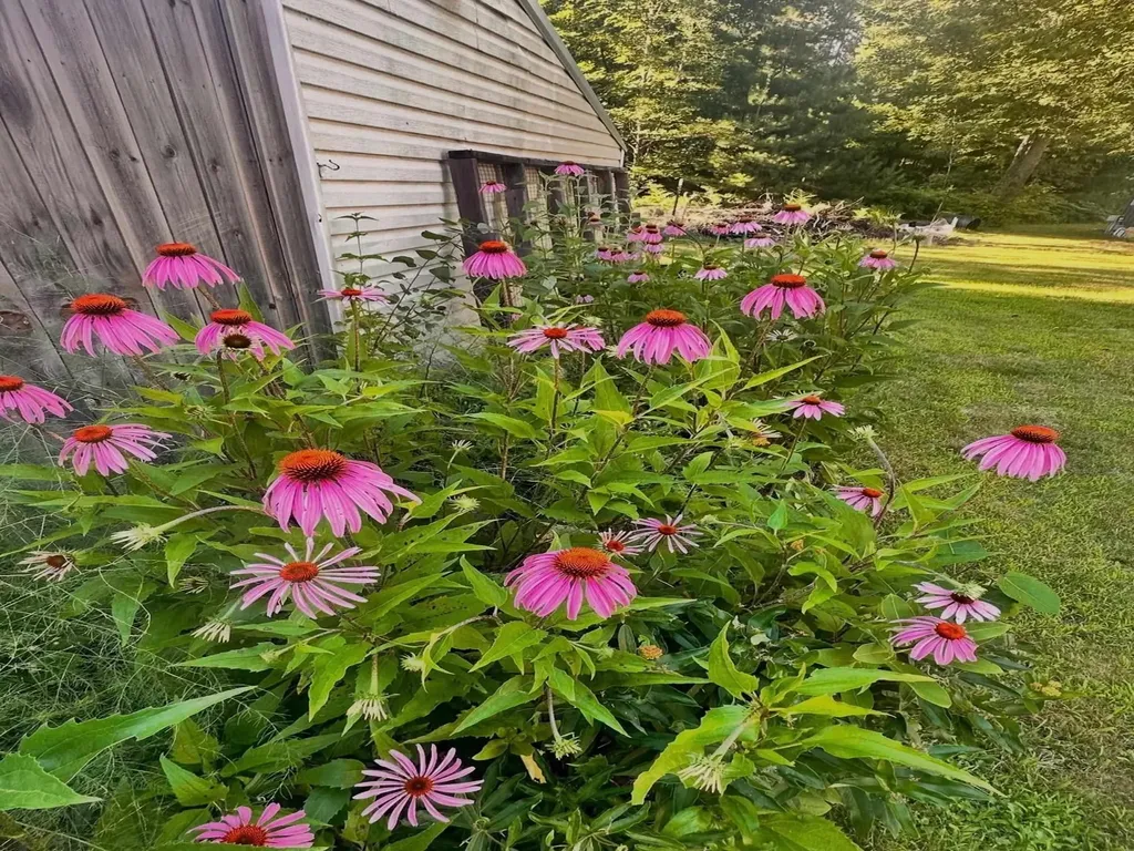 11774 Healey Lake Road Maple Grove Township MI 49614