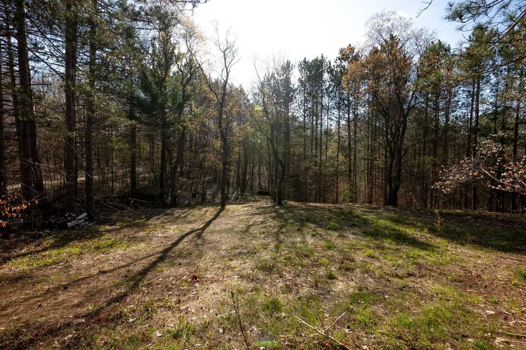 10846 Bluff Drive Blue Lake Township MI 49659