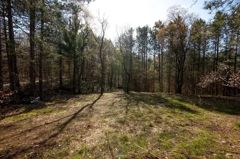 10846 Bluff Drive Blue Lake Township MI 49659