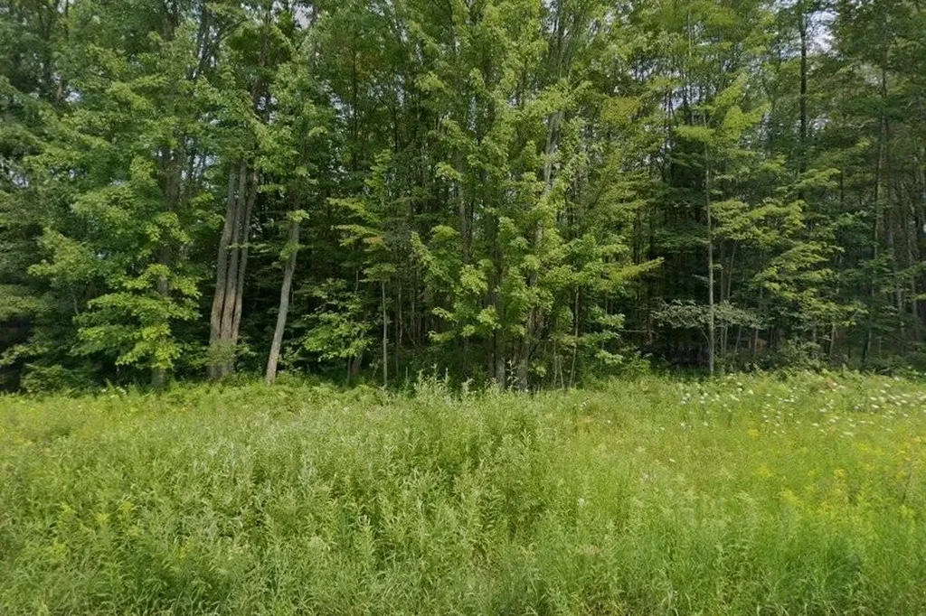 Unit 1 & 2 North Street Colfax Township MI 49683