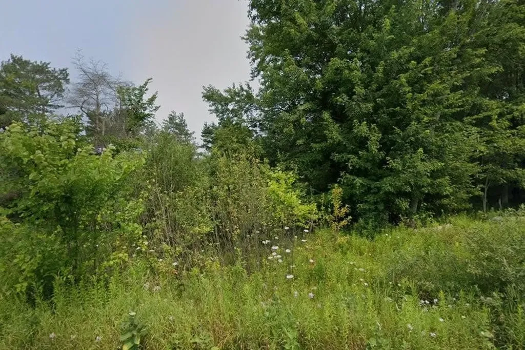 Unit 1 & 2 North Street Colfax Township MI 49683
