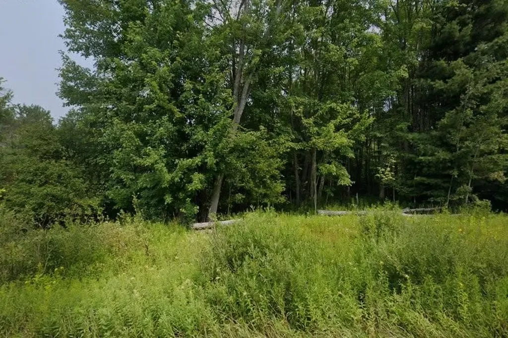 Unit 1 & 2 North Street Colfax Township MI 49683