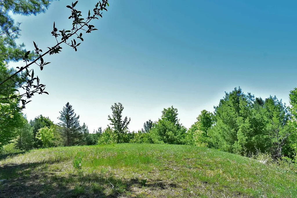 570 Michael Avenue Blair Township MI 49685