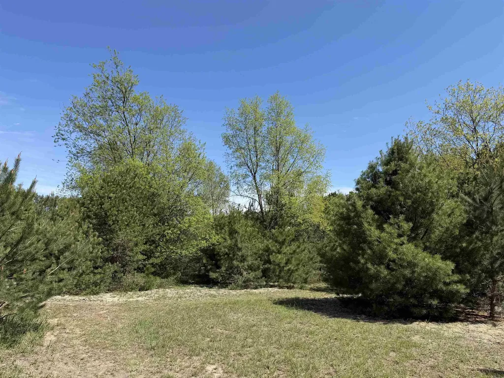 13158 Cinder Road Homestead Township MI 49617