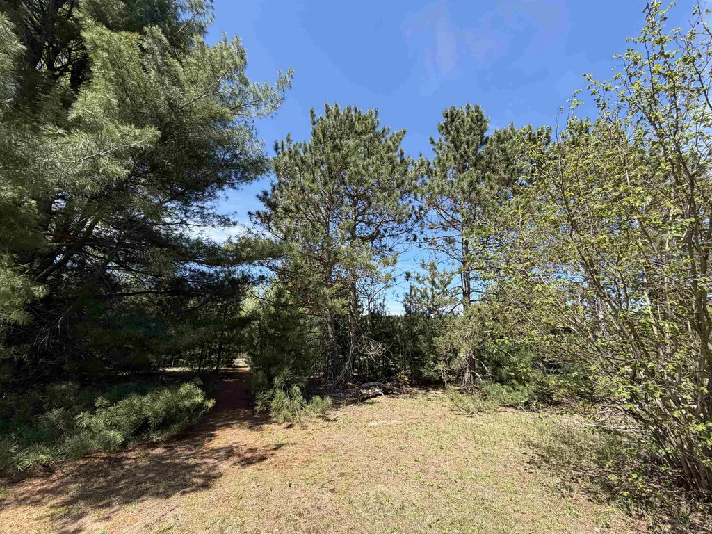 13158 Cinder Road Homestead Township MI 49617