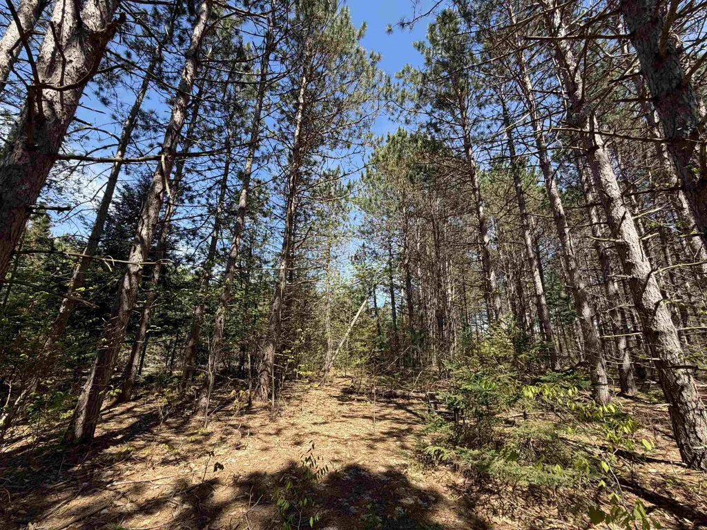 13158 Cinder Road Homestead Township MI 49617