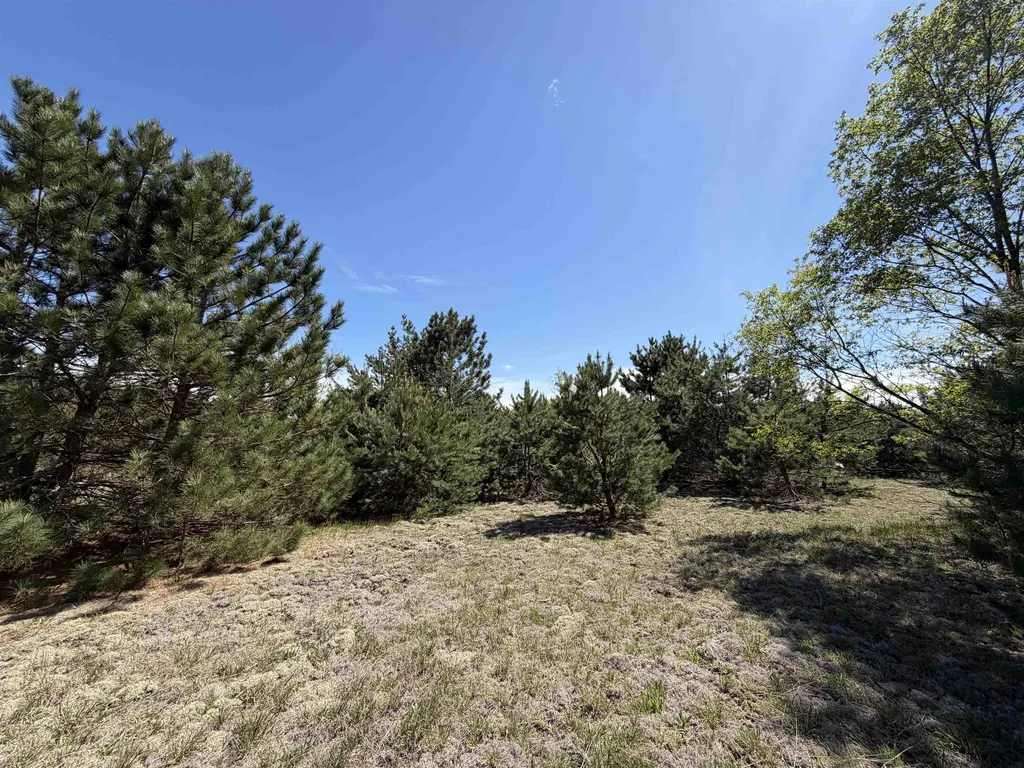 13158 Cinder Road Homestead Township MI 49617