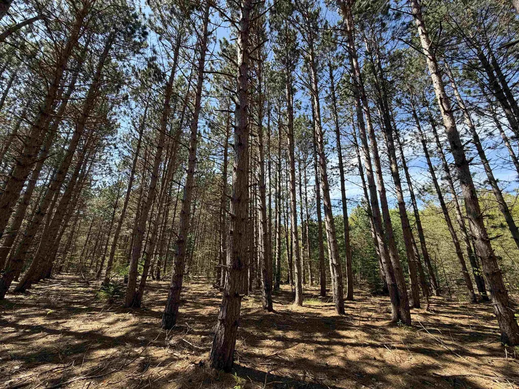 13158 Cinder Road Homestead Township MI 49617