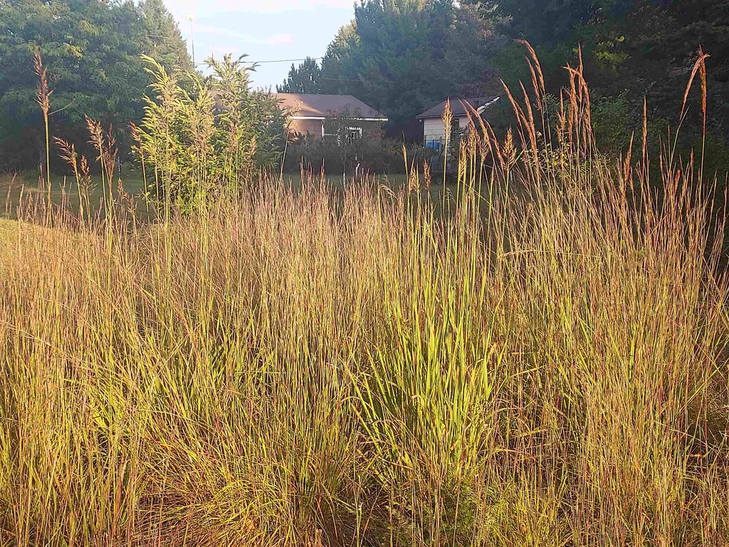 13158 Cinder Road Homestead Township MI 49617