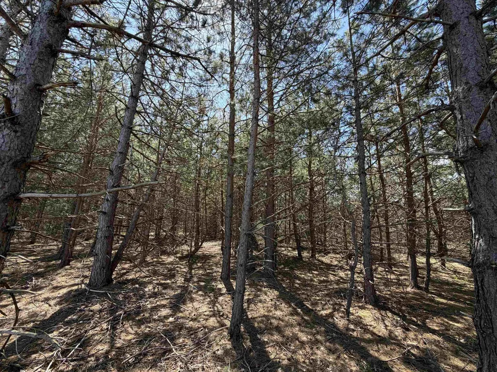 13158 Cinder Road Homestead Township MI 49617