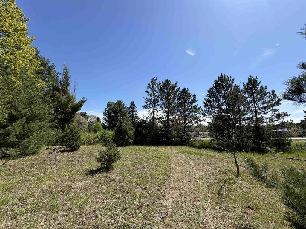 13158 Cinder Road Homestead Township MI 49617