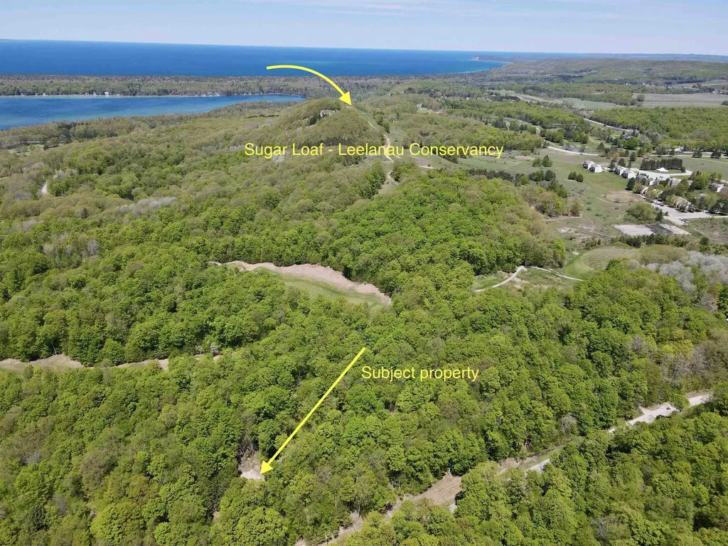 1801 E Old Mountain Road Cleveland Township MI 49621