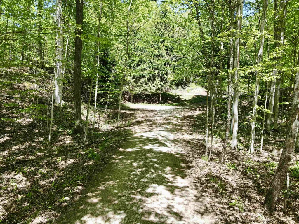 1801 E Old Mountain Road Cleveland Township MI 49621