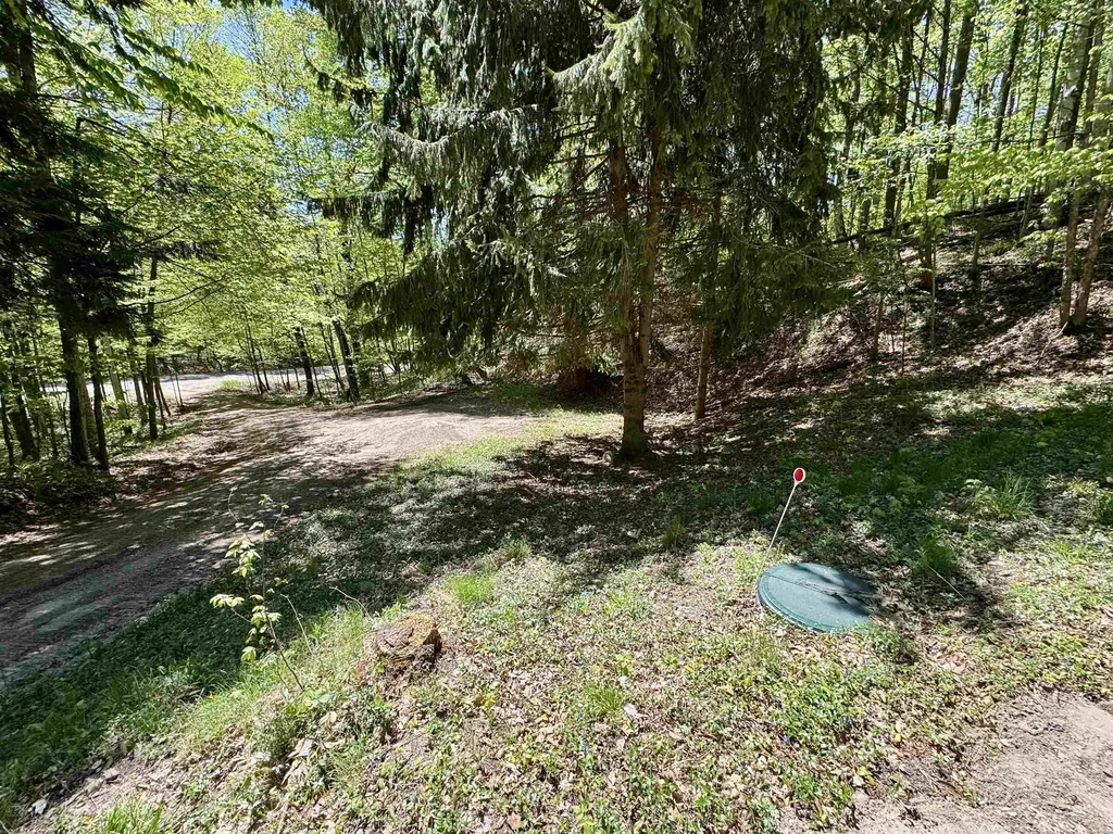 1801 E Old Mountain Road Cleveland Township MI 49621