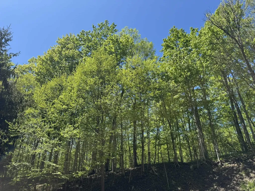 1801 E Old Mountain Road Cleveland Township MI 49621