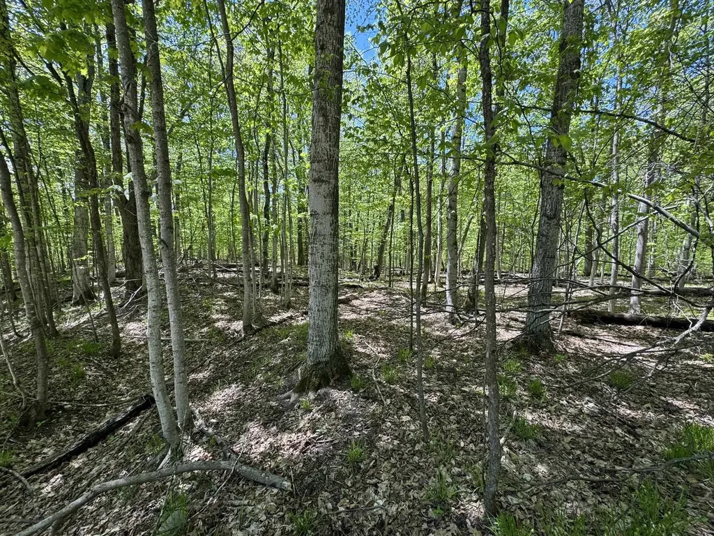 1801 E Old Mountain Road Cleveland Township MI 49621