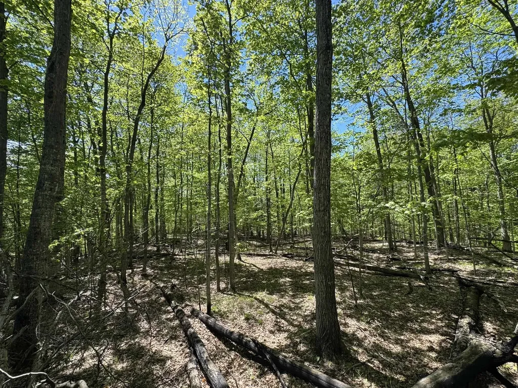 1801 E Old Mountain Road Cleveland Township MI 49621