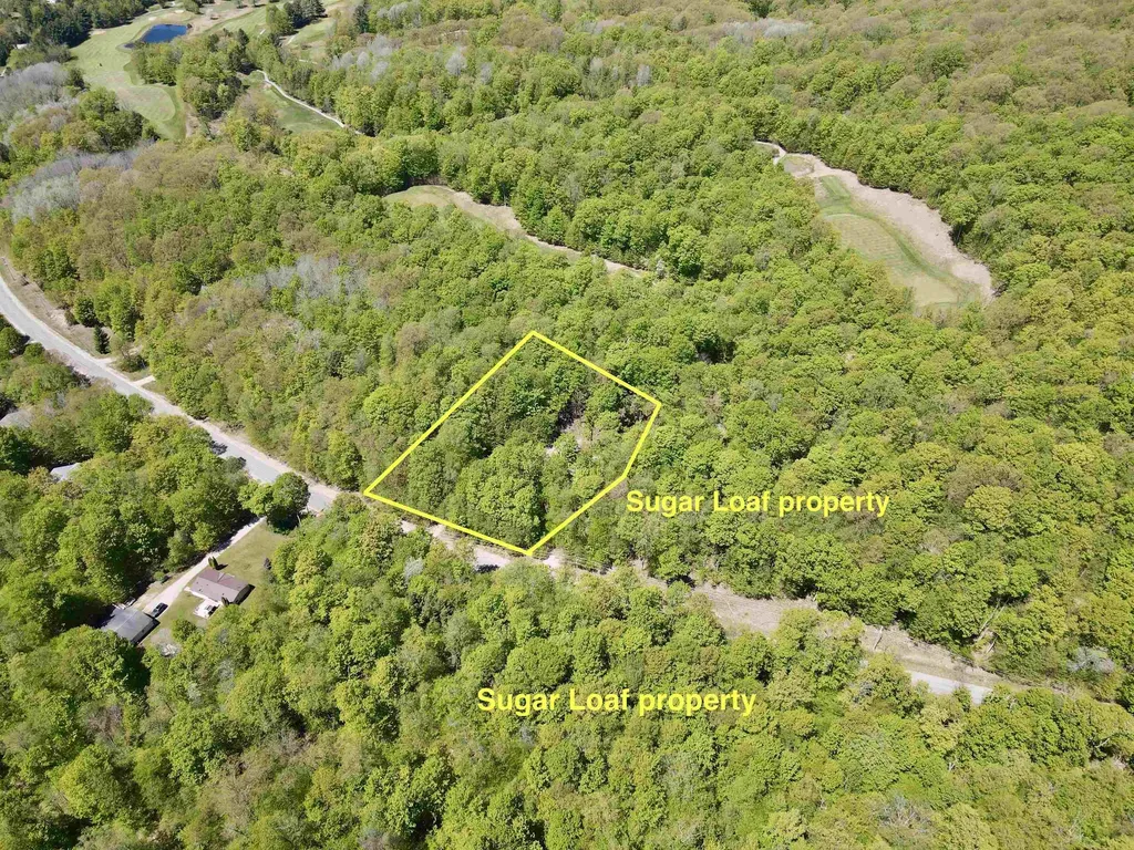 1801 E Old Mountain Road Cleveland Township MI 49621