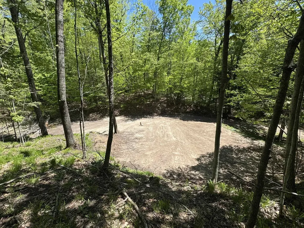 1801 E Old Mountain Road Cleveland Township MI 49621