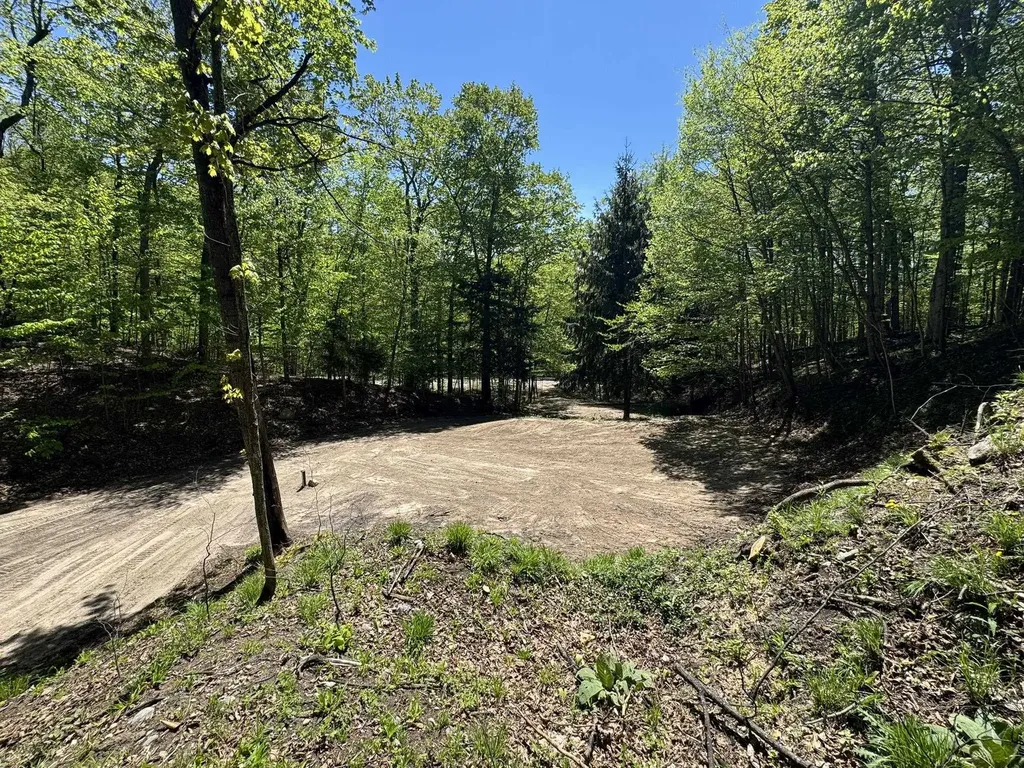 1801 E Old Mountain Road Cleveland Township MI 49621