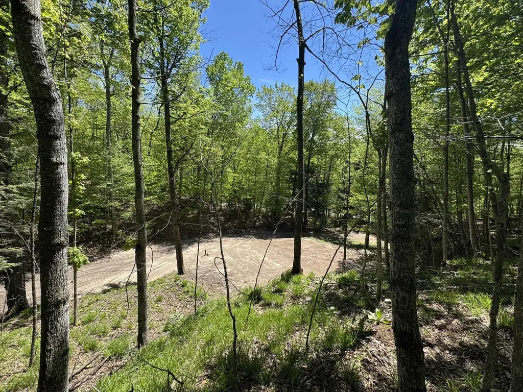 1801 E Old Mountain Road Cleveland Township MI 49621