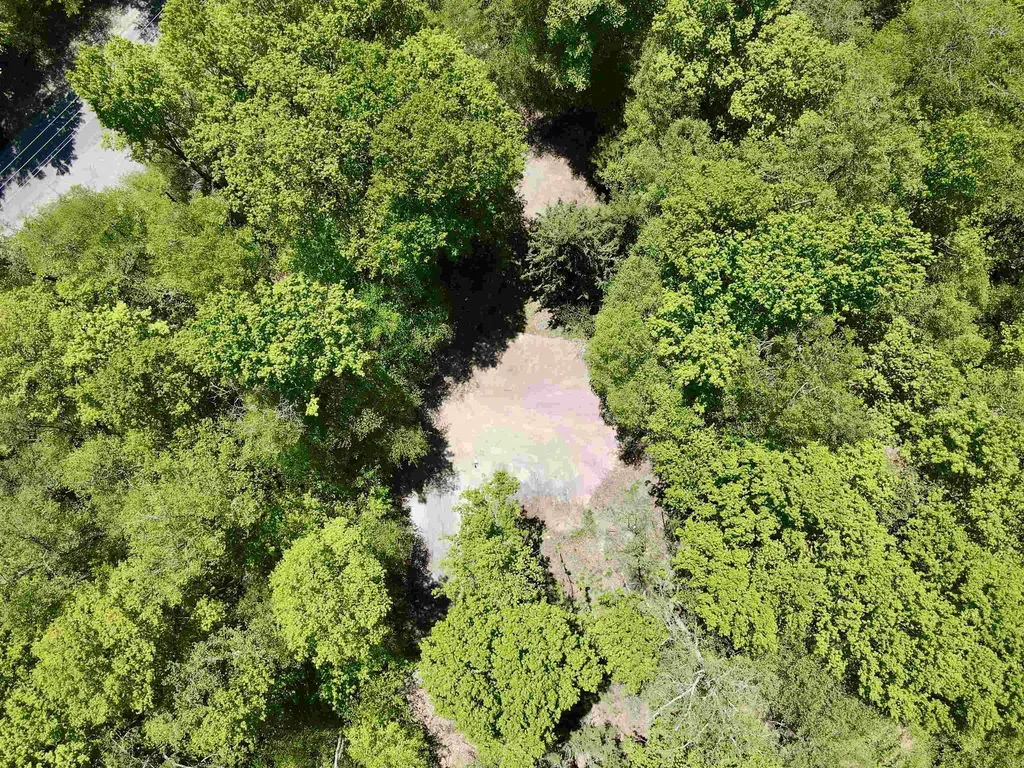 1801 E Old Mountain Road Cleveland Township MI 49621