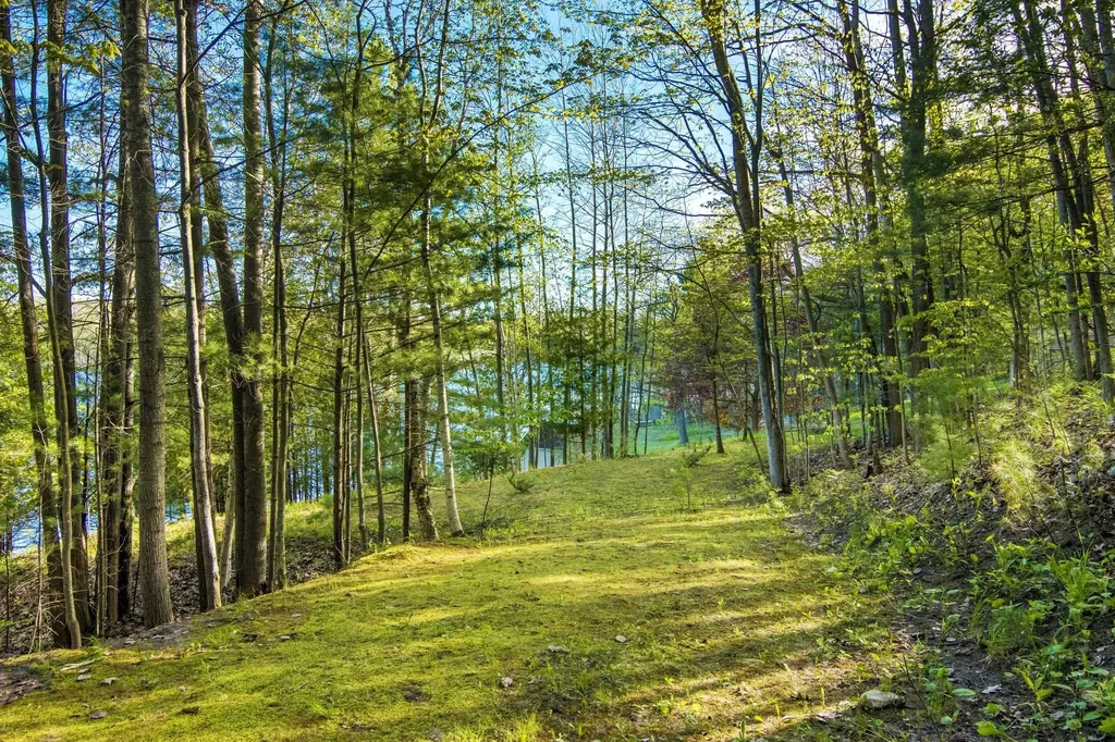 16533 Wagner Road Almira Township MI 49650