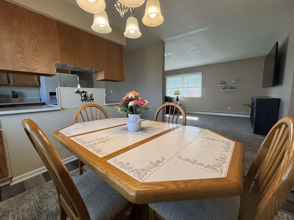 284 Astro Drive Blair Township MI 49685