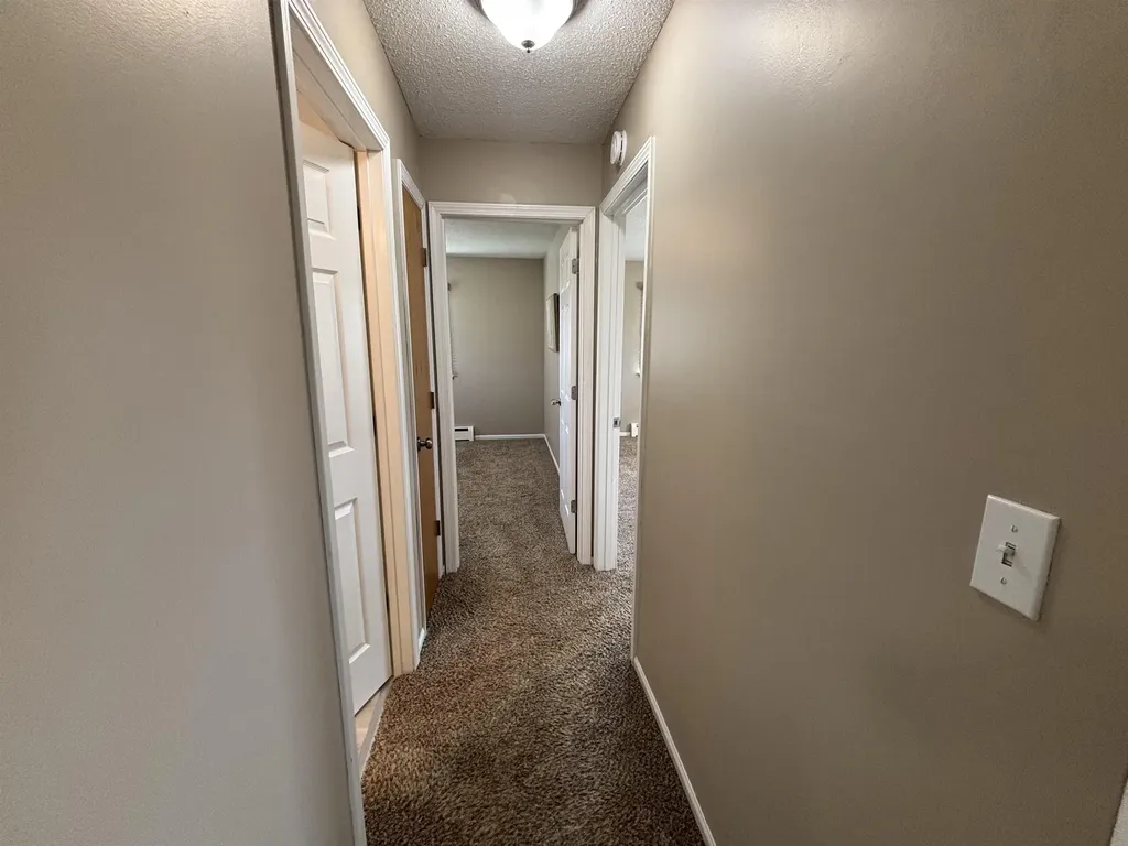284 Astro Drive Blair Township MI 49685