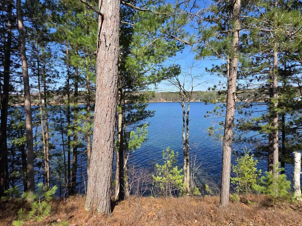9269 Gedman Road Blue Lake Township MI 49659
