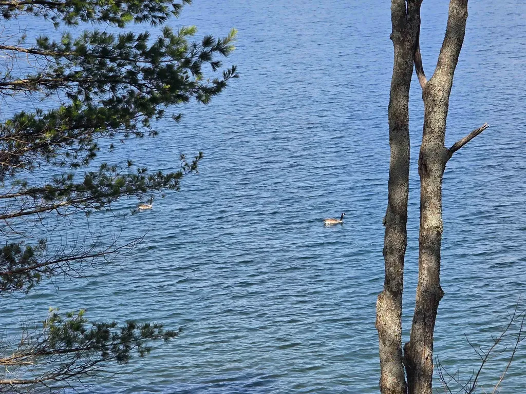 9269 Gedman Road Blue Lake Township MI 49659